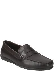 herrenschuhe ascanio