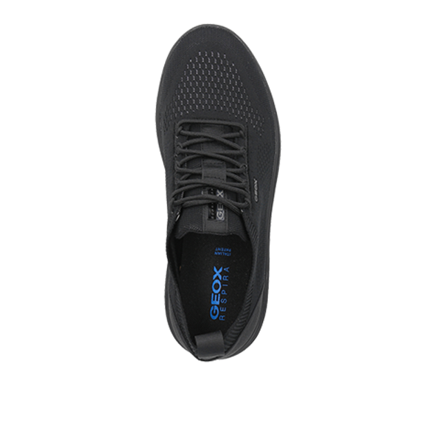 GEOX SPHERICA Sneaker in schwarz