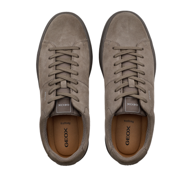 GEOX BALTMOORE Sneaker in braun