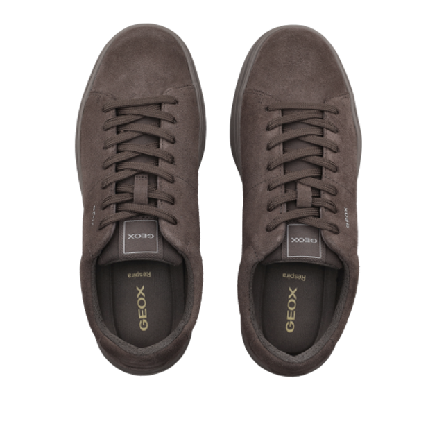 GEOX BALTMOORE Sneaker in braun