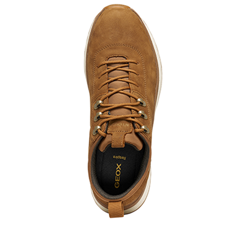 GEOX SPHERICA ACTIF X2 Sneaker in braun