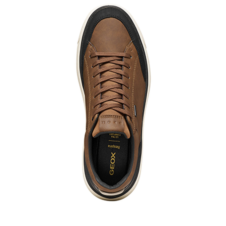 GEOX CENISIO Sneaker in braun