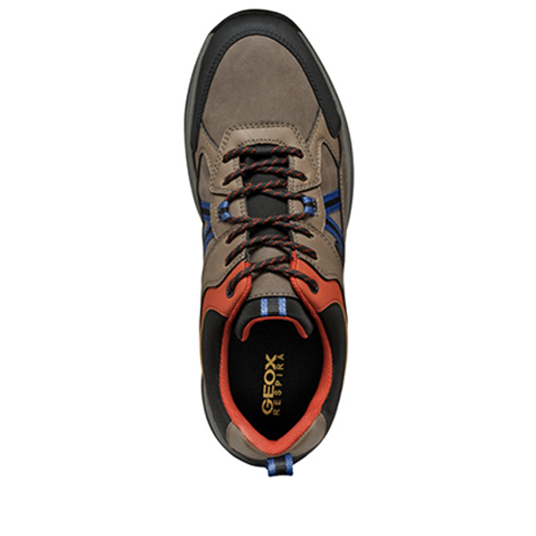 GEOX TERRESTRE Sneaker in braun