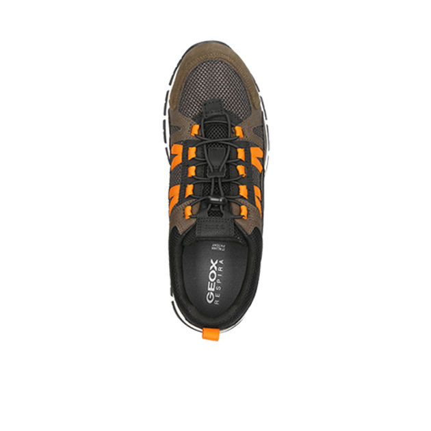 GEOX DELRAY Sneaker in grün