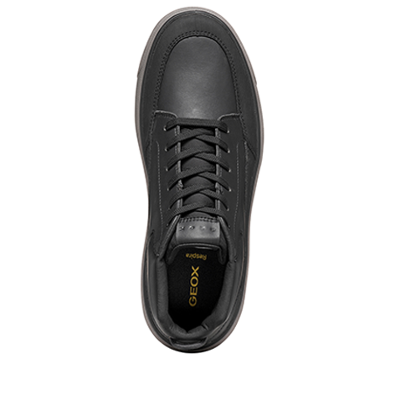 GEOX CENISIO Boots in schwarz