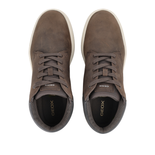 GEOX BALTMOORE Boots in braun