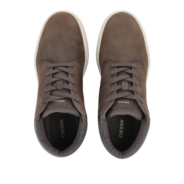 GEOX BALTMOORE Boots in braun