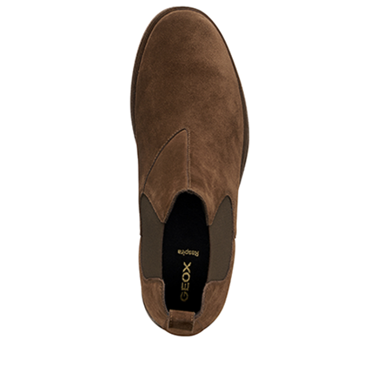 GEOX CLAUDIO Stiefeletten in braun