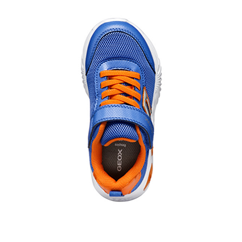 GEOX ASSISTER Sneaker in blau