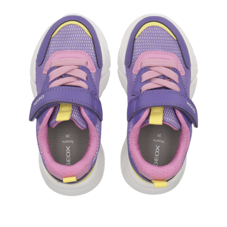 GEOX LOFTUS Sneaker in lila