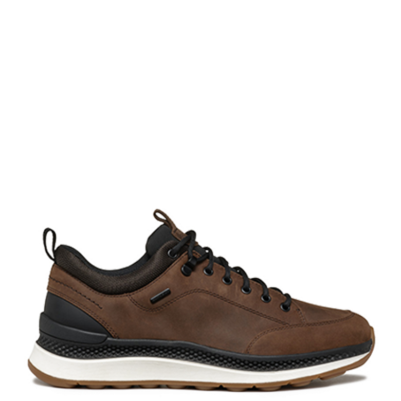 GEOX SPHERICA Sneaker in braun