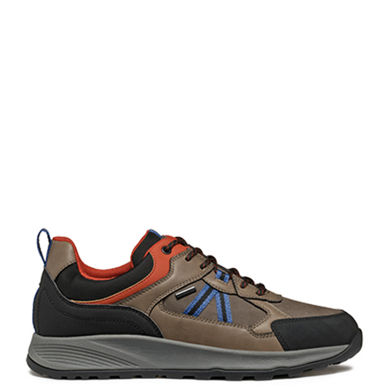 GEOX TERRESTRE Sneaker in braun