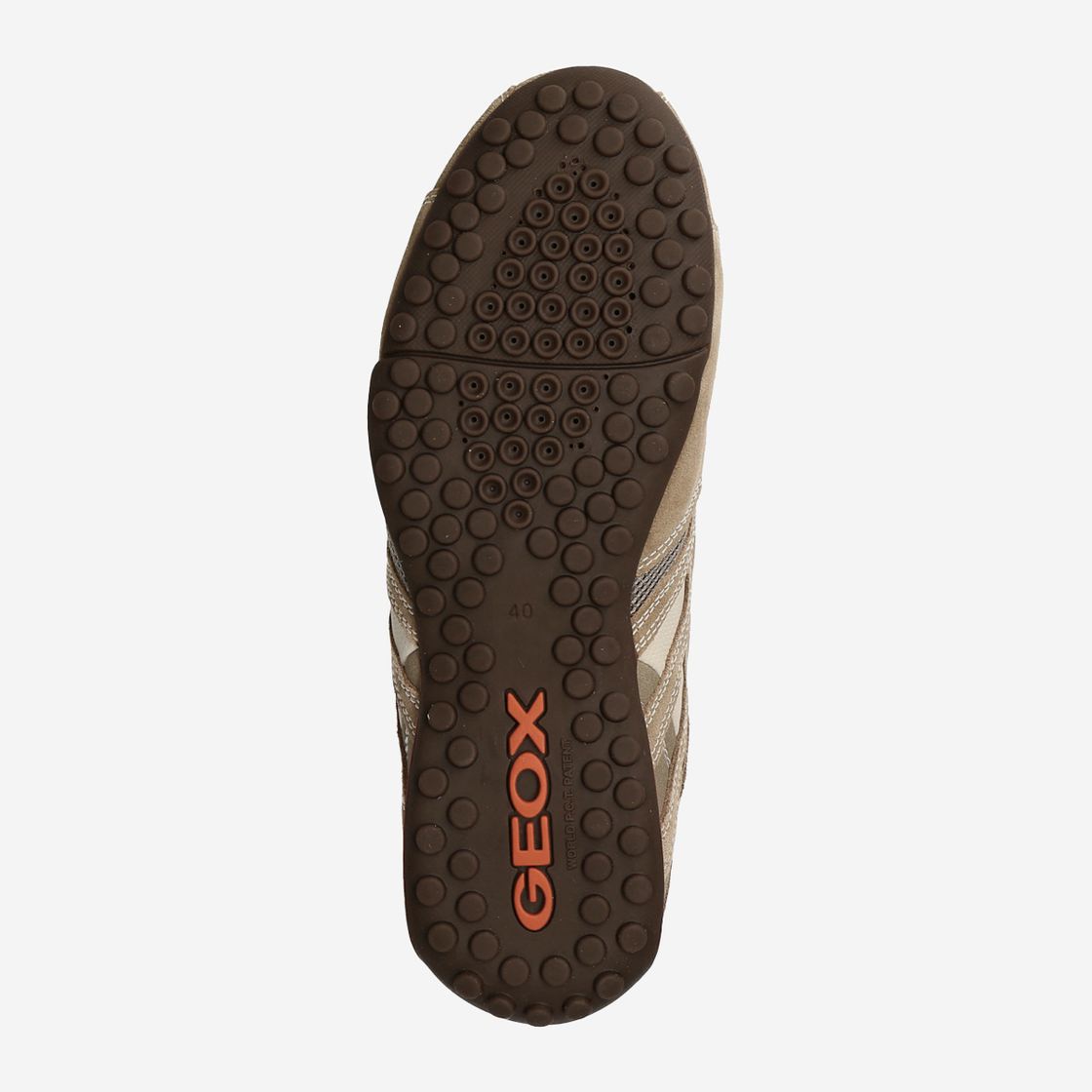 Geox SNAKE - Beige - Draufsicht