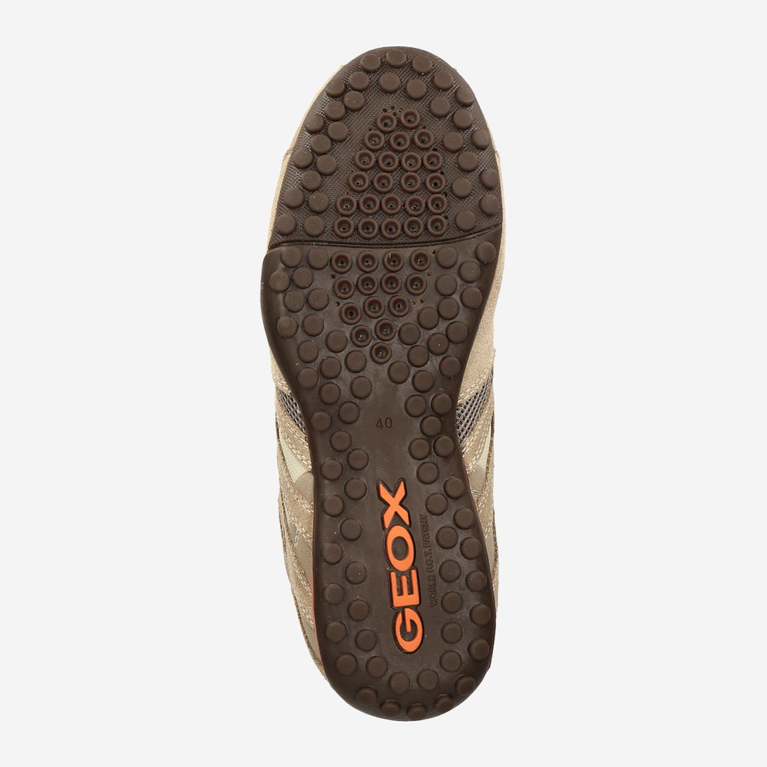 Geox SNAKE - Beige - Draufsicht