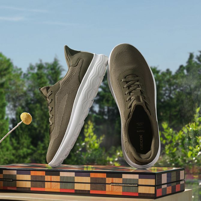 Geox SPHERICA PLUS - Oliv/ Kaki/ Grün
