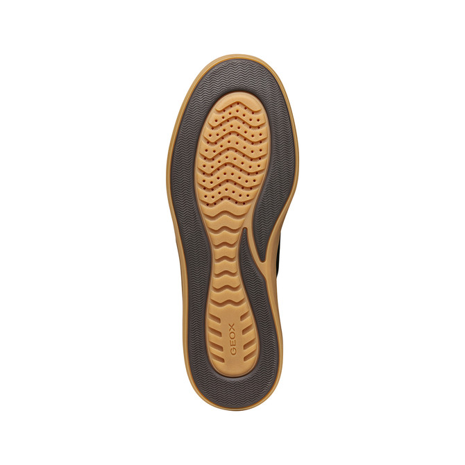 Geox BALTMOORE - Schwarz - Draufsicht