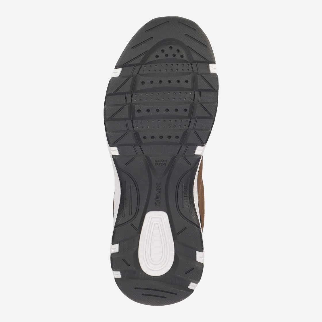 Geox SENALES - Braun - Draufsicht