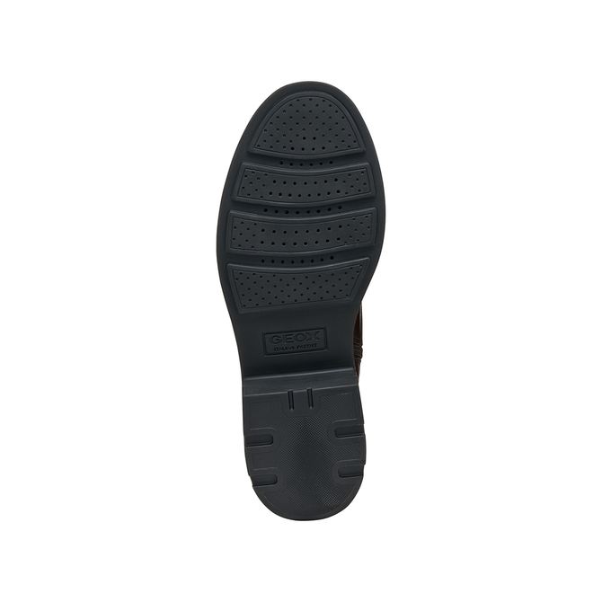 Geox SWELEN - Braun - Draufsicht