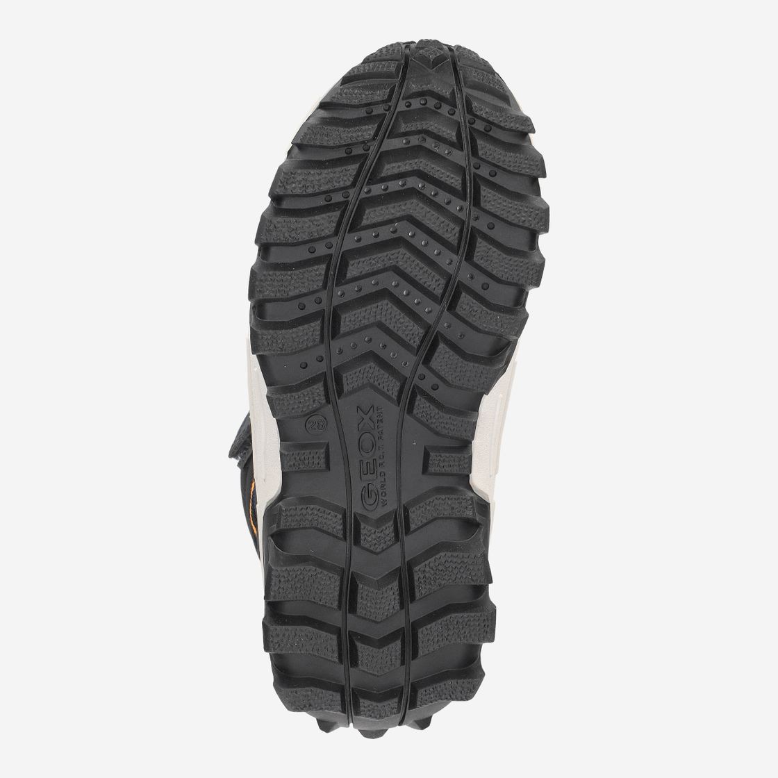 Geox HIMALAYA - Blau - Draufsicht