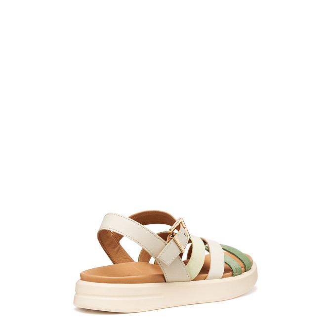 Geox XAND - Beige / Grün