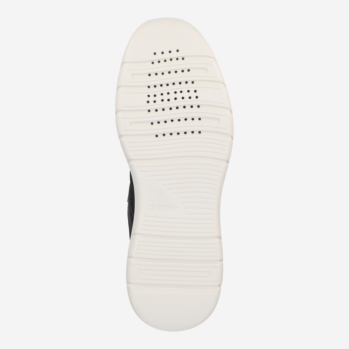 Geox Plummery - Schwarz - Draufsicht