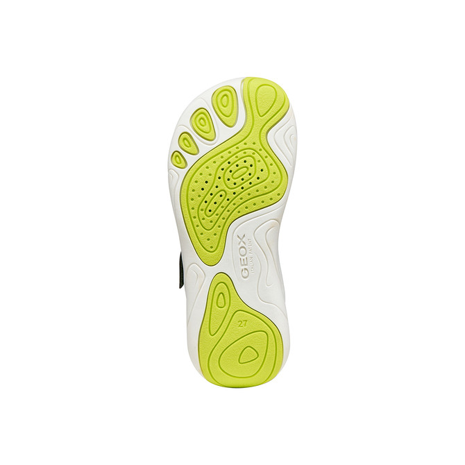 Geox FOOT-RUN - Grün - Draufsicht
