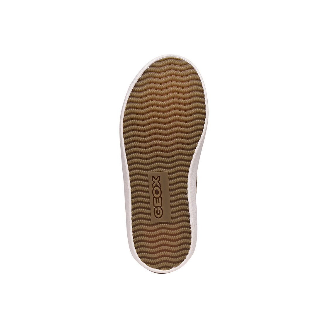 Geox GISLI - Beige - Draufsicht