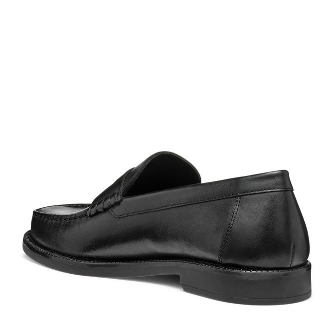 Geox RECANATI - Schwarz
