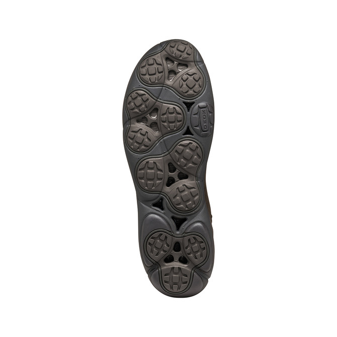 Geox NEBULA 2.0 PLUS - Braun - Draufsicht