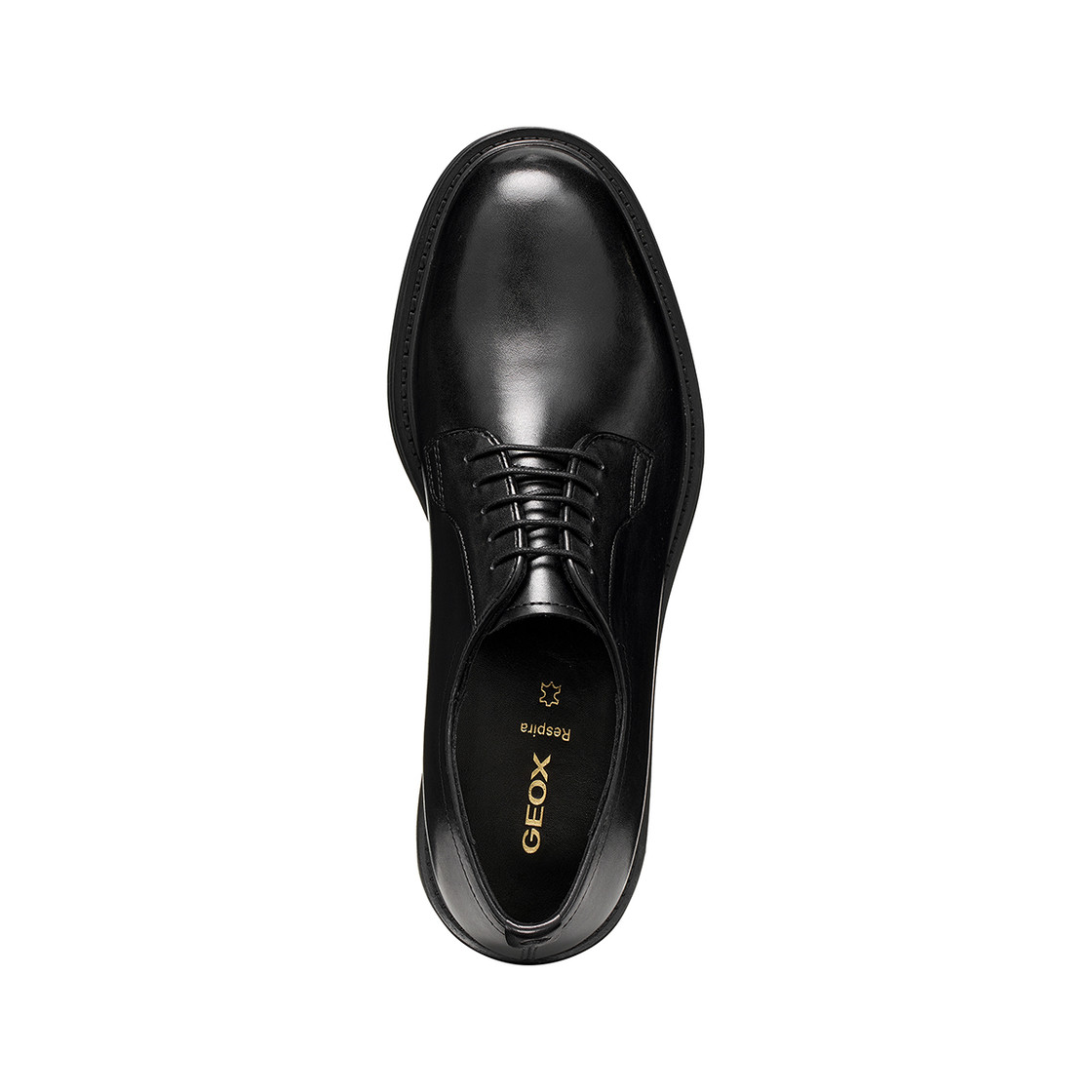 Geox BEXFORD - Schwarz - Sohle