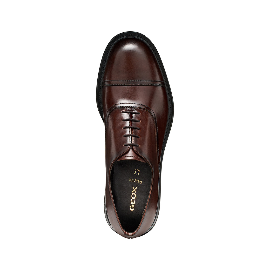 Geox BEXFORD - Braun, dunkel - Sohle