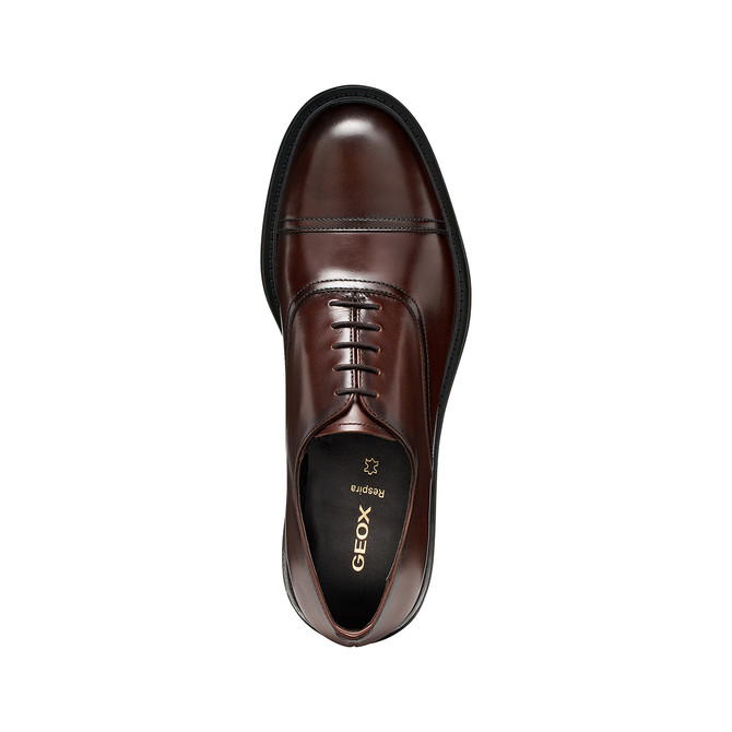 Geox BEXFORD - Braun, dunkel - Sohle